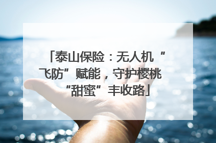 泰山保险：无人机“飞防”赋能，守护樱桃“甜蜜”丰收路